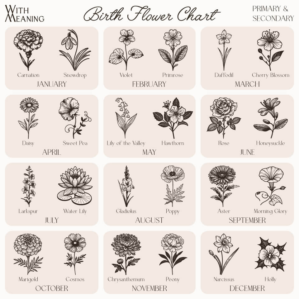 Birth Flower Chart by Month, Primary and Secondary Flowers, Designed With Meaning